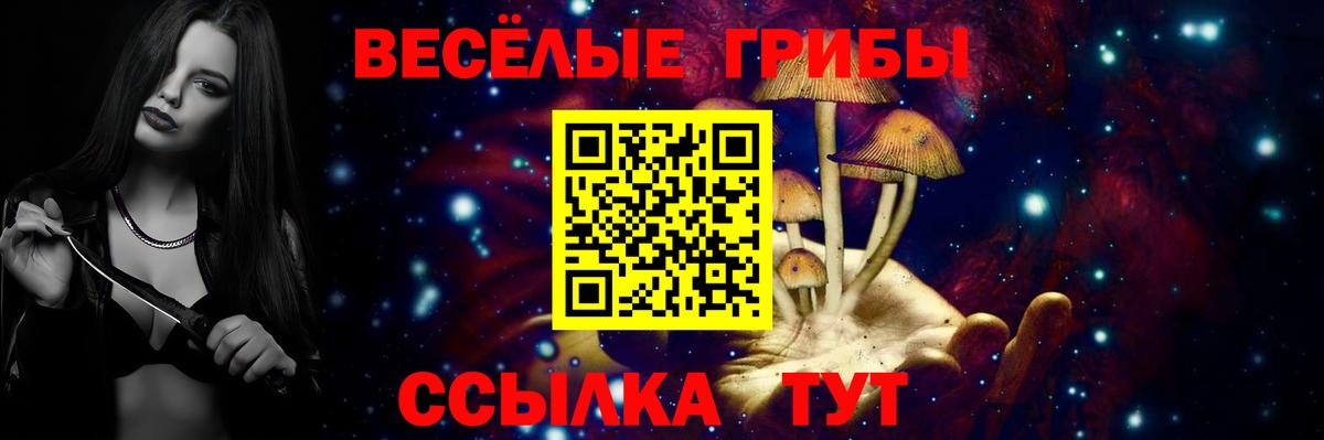 Псилоцибиновые грибы Psilocybe Осинники